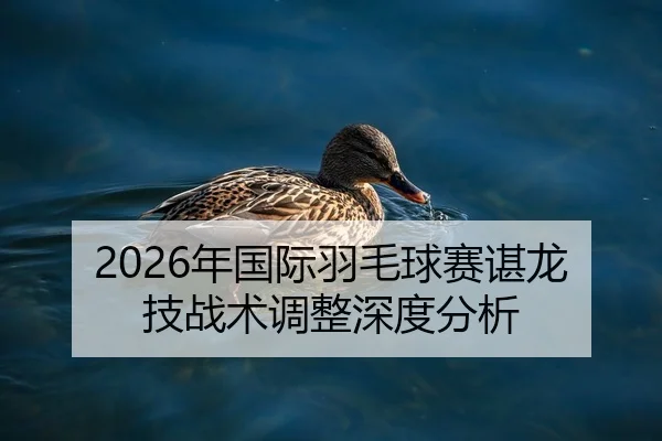 2026年国际羽毛球赛谌龙技战术调整深度分析