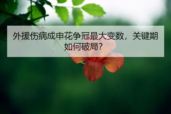 wai-yuan-shang-bing-cheng-shen-hua-zheng-guan-zui-da-bian-shu-guan-jian-qi-ru-he-po-ju-2-457.jpg