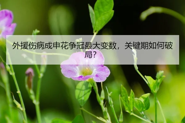 wai-yuan-shang-bing-cheng-shen-hua-zheng-guan-zui-da-bian-shu-guan-jian-qi-ru-he-po-ju-3-110.jpg