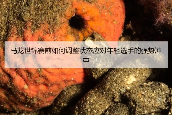 ma-long-shi-jin-sai-qian-ru-he-tiao-zheng-zhuang-tai-ying-dui-nian-qing-xuan-shou-de-qiang-shi-chong-ji-3-798.jpg